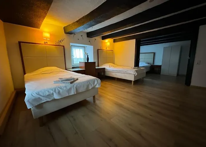 Daire Grosse Monteurwohnung - 7 Personen - Kueche Wifi Tv *